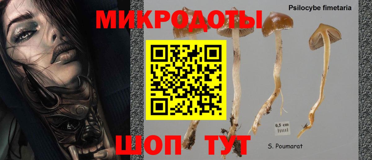 Галлюциногенные грибы GOLDEN TEACHER Ханты-Мансийск